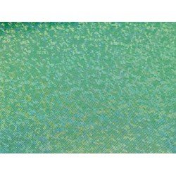 Hologram Spandex - Green